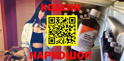 индика Гусев