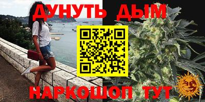 индика Гусев