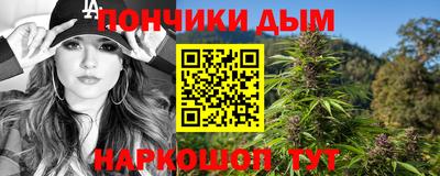 индика Гусев