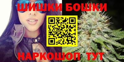 индика Гусев