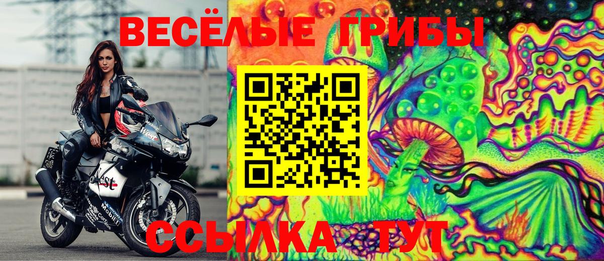 Псилоцибиновые грибы MAGIC MUSHROOMS Гусиноозёрск