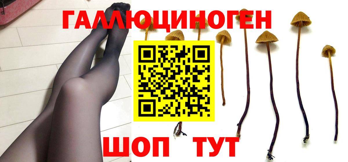 Галлюциногенные грибы MAGIC MUSHROOMS  Вход с VPN  Гусиноозёрск 